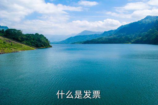 默認發(fā)票是什么，蘇寧天貓旗艦店默認開取什么發(fā)票