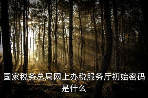 江蘇地稅登錄密碼是什么意思，江蘇地稅開(kāi)票密碼是多少