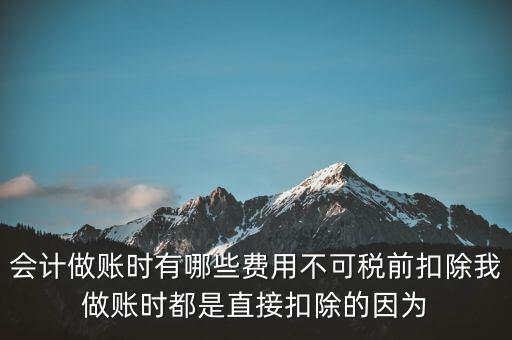 什么不可以稅前扣除嗎，納稅人哪些支出不能在企業(yè)所得稅前扣除