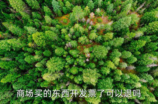 發(fā)票什么情況可以退回，商場(chǎng)買的東西開發(fā)票了可以退嗎