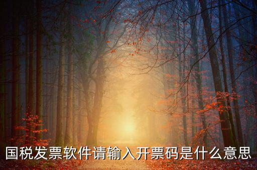 開(kāi)票二維碼是什么軟件，天津國(guó)稅通用機(jī)打發(fā)票二維碼包含的內(nèi)容解碼軟件