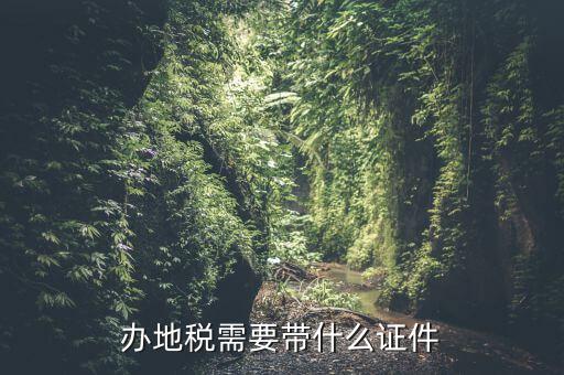 國稅地稅證件什么手續(xù)，辦理國稅地稅需要那些手續(xù)