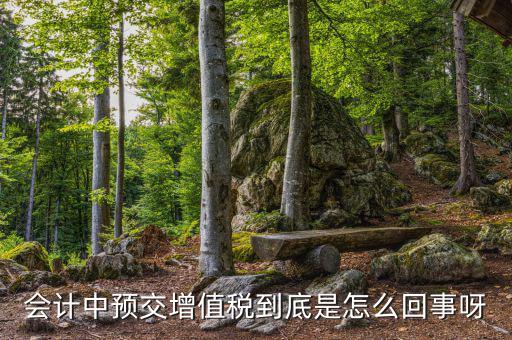 增值稅為什么要預(yù)繳，輔導(dǎo)期增購(gòu)增值稅發(fā)票為什么要預(yù)繳