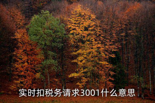 實(shí)時扣稅務(wù)請求3001什么意思