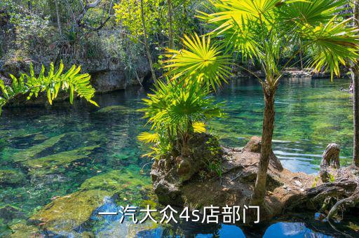 宋蘭去什么部門了，國家稅務(wù)總局的副局長宋蘭身體很豐滿