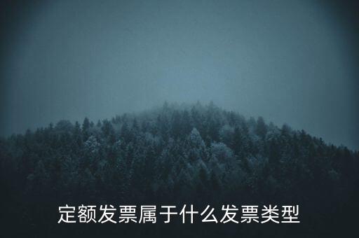 定額發(fā)票什么，河南省地稅定額發(fā)票怎么查詢