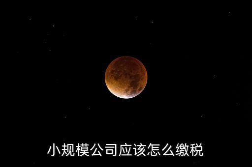 小規(guī)模公司按什么交稅嗎，一個小規(guī)模納稅公司國稅和地稅應(yīng)該都分別交什么稅