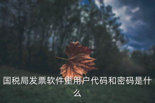 查詢發(fā)票要密碼是什么，國稅局發(fā)票軟件里用戶代碼和密碼是什么