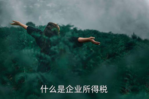什么是企業(yè)所得稅率，什么是企業(yè)所得稅