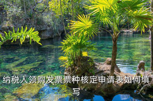 納稅人領(lǐng)購發(fā)票票種核定申請(qǐng)表如何填寫