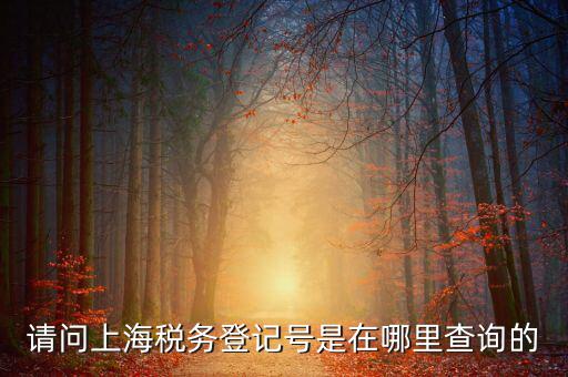 上海的稅務(wù)賬號是什么，請問上海稅務(wù)登記號是在哪里查詢的