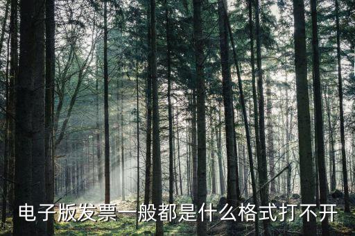 微發(fā)票助手是什么格式，exa是什么格式