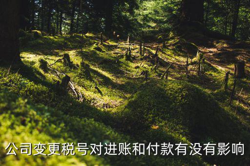 換稅號(hào)注意什么，公司變更稅號(hào)對(duì)進(jìn)賬和付款有沒(méi)有影響