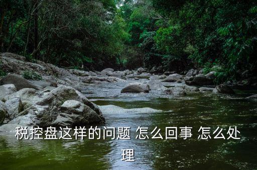 為什么稅控盤升級，稅控盤這樣的問題 怎么回事 怎么處理