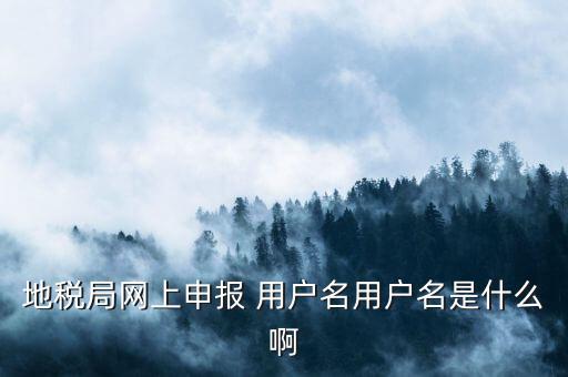 地稅注冊用戶名是什么，地稅申報的用戶名和密碼是什么