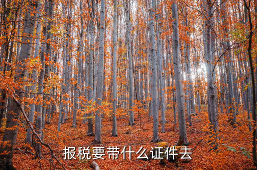 報(bào)稅需要帶什么，你好 到稅務(wù)局報(bào)稅需要帶什么東西怎么報(bào)