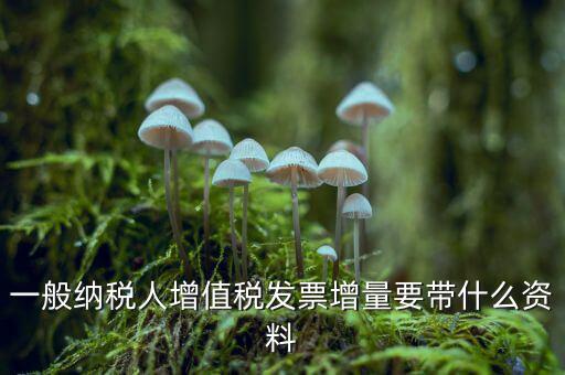 增加開票人需要什么資料，申請開票人變更需要哪些材料