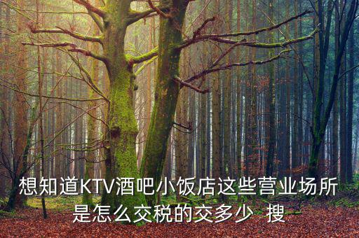 ktv交納什么稅，想知道KTV酒吧小飯店這些營業(yè)場所是怎么交稅的交多少  搜