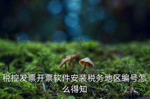 發(fā)票地區(qū)編號(hào)填什么，稅控發(fā)票開票軟件安裝稅務(wù)地區(qū)編號(hào)怎么得知