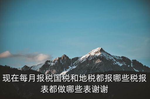 國稅報(bào)什么，現(xiàn)在每月報(bào)稅國稅和地稅都報(bào)哪些稅報(bào)表都做哪些表謝謝