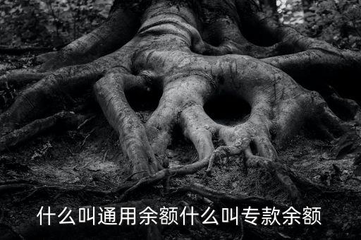 什么叫通用余額什么叫?？钣囝~