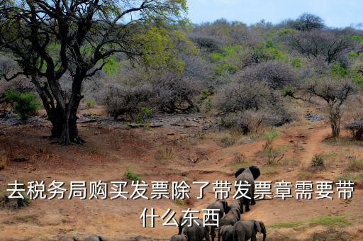 購發(fā)票需要什么資料，個人購物開增值稅普通發(fā)票需要什么資料