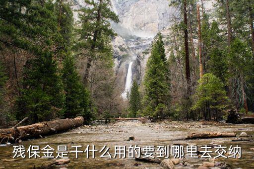 殘疾人保障金干什么用，殘疾就業(yè)保帳金是干什么的