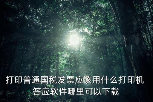 打國稅發(fā)票用什么軟件，打印普通國稅發(fā)票應(yīng)該用什么打印機(jī) 答應(yīng)軟件哪里可以下載
