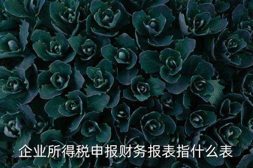千戶集團財務報表申報是什么，2015年度財務報表和申報表指的是啥