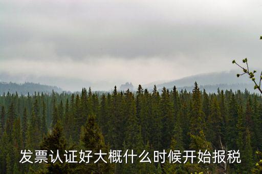 發(fā)票認(rèn)證好大概什么時候開始報稅