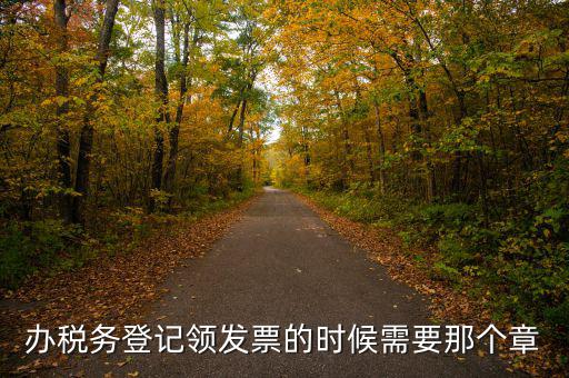 辦稅務登記領發(fā)票的時候需要那個章