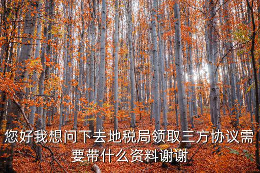 您好我想問下去地稅局領取三方協(xié)議需要帶什么資料謝謝