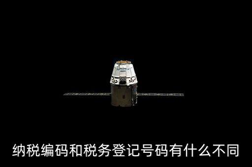 個人納稅編號是什么意思，納稅編碼和稅務登記號碼有什么不同