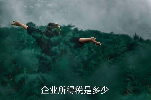 生產(chǎn)企業(yè)稅收標(biāo)準(zhǔn)是什么，企業(yè)所得稅是多少