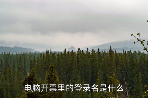 電子稅務(wù)局登錄賬號是什么意思，企業(yè)金稅盤系統(tǒng)用來開票抄稅報稅用那登錄國稅地稅局網(wǎng)站是干嘛的