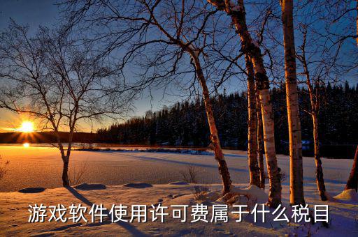 軟件使用費(fèi)交什么稅，軟件使用費(fèi)應(yīng)開(kāi)國(guó)稅發(fā)票還是地稅發(fā)票