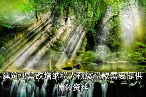 預(yù)繳增值稅要什么資料，在外地有個工程想用人工費發(fā)票增值稅來抵預(yù)交稅款的增值稅需