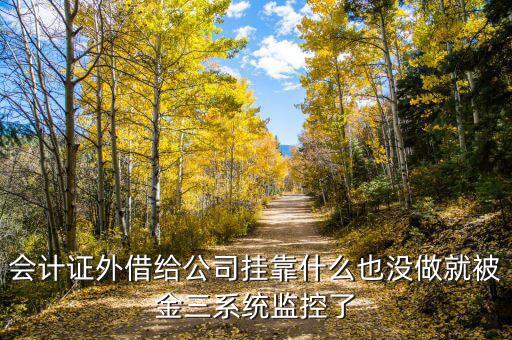 金三系統(tǒng)有什么問題，會計證外借給公司掛靠什么也沒做就被金三系統(tǒng)監(jiān)控了