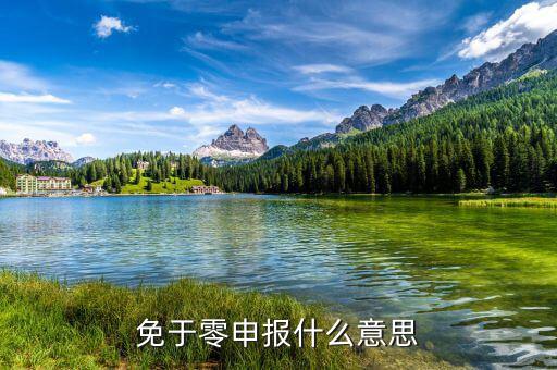 免予零申報(bào)是什么意思，免于零申報(bào)是什么意思