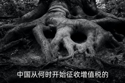 什么時候征收增值稅，批發(fā)零售業(yè)增值稅征收率什么時間開始為3
