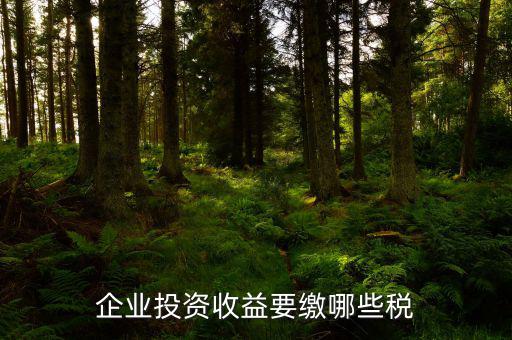 公司盈利要交什么稅，企業(yè)投資收益要繳哪些稅
