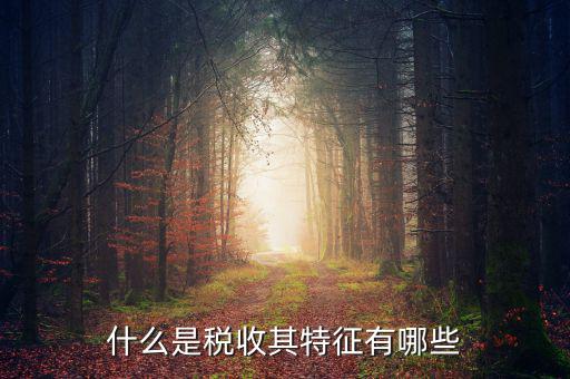 稅收的特點是什么意思，稅收的實質(zhì)和特征