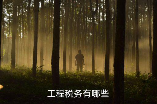 稅務(wù)三代項(xiàng)目是什么，通常說(shuō)的三稅是指什么啊