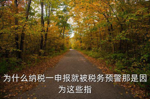 為什么納稅一申報就被稅務(wù)預(yù)警那是因?yàn)檫@些指
