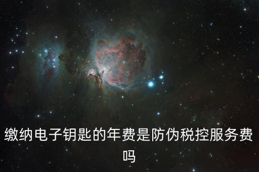 防偽稅控服務費是什么，關(guān)于防偽稅控服務費
