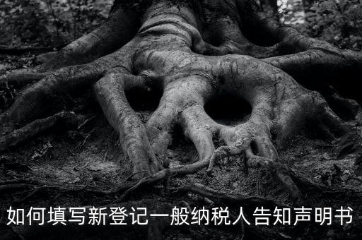 納稅人聲明是什么意思，一般納稅人申報(bào)表主表的申明人必須輸入是什么意思