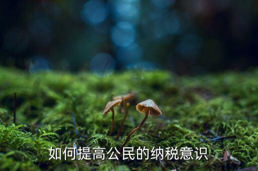 什么是納稅漫畫宣傳，魁拔第一部的投入官方說是3500萬一部動漫為什么投資那么大都花