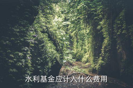 水利基金應(yīng)計入什么費(fèi)用