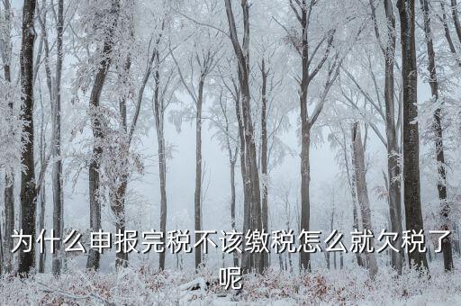 為什么國稅欠稅不催繳，因稅務機關原因未能及時繳納稅款是否屬于欠稅