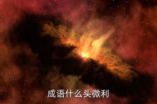 什么是微利，微保是什么怎么進入微保誰知道